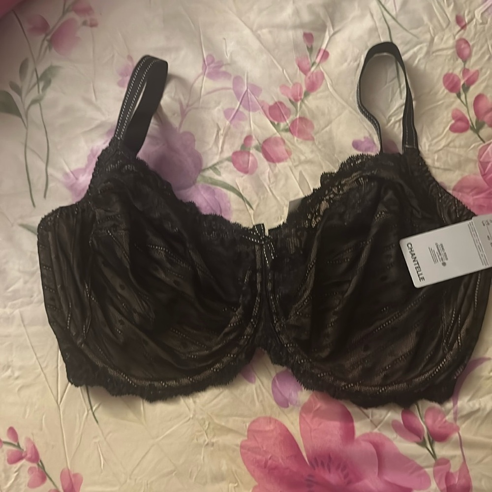 Chantelle sexy black bra